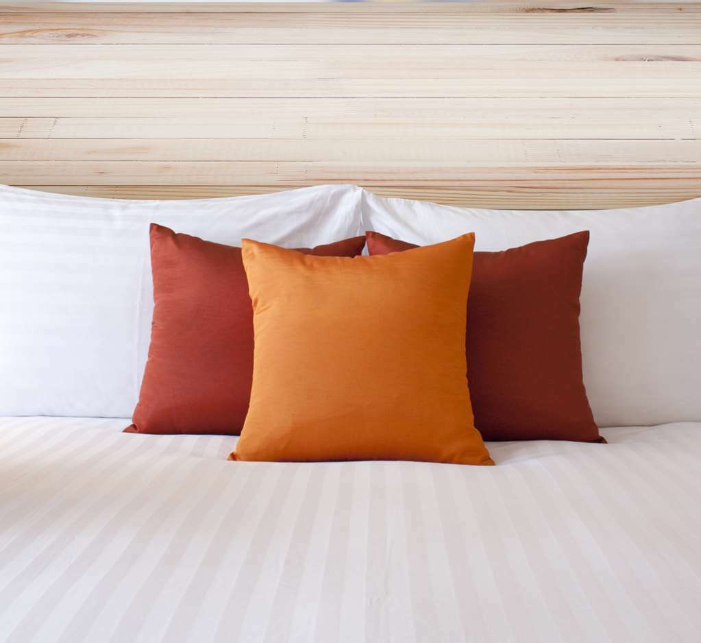 Econo Lodge Inn & Suites Sweetwater I-20 الغرفة الصورة